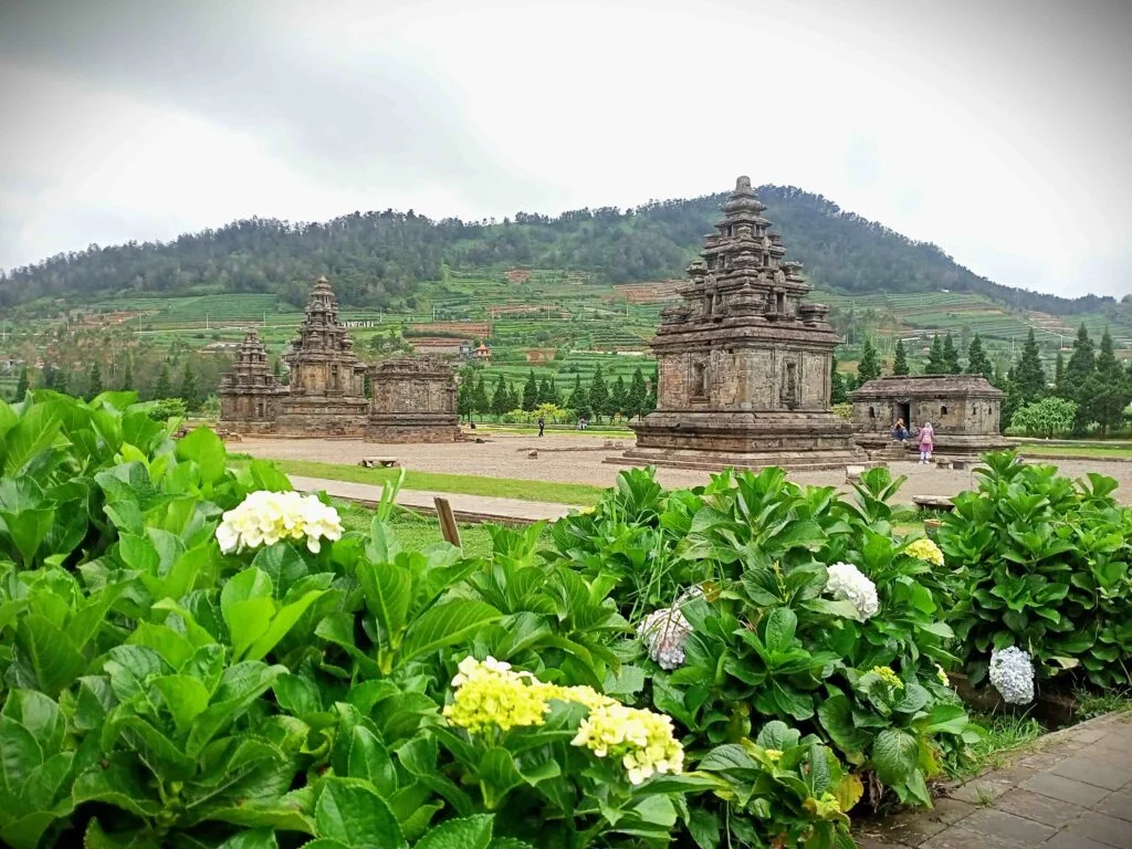 paket wisata dieng candi arjuna